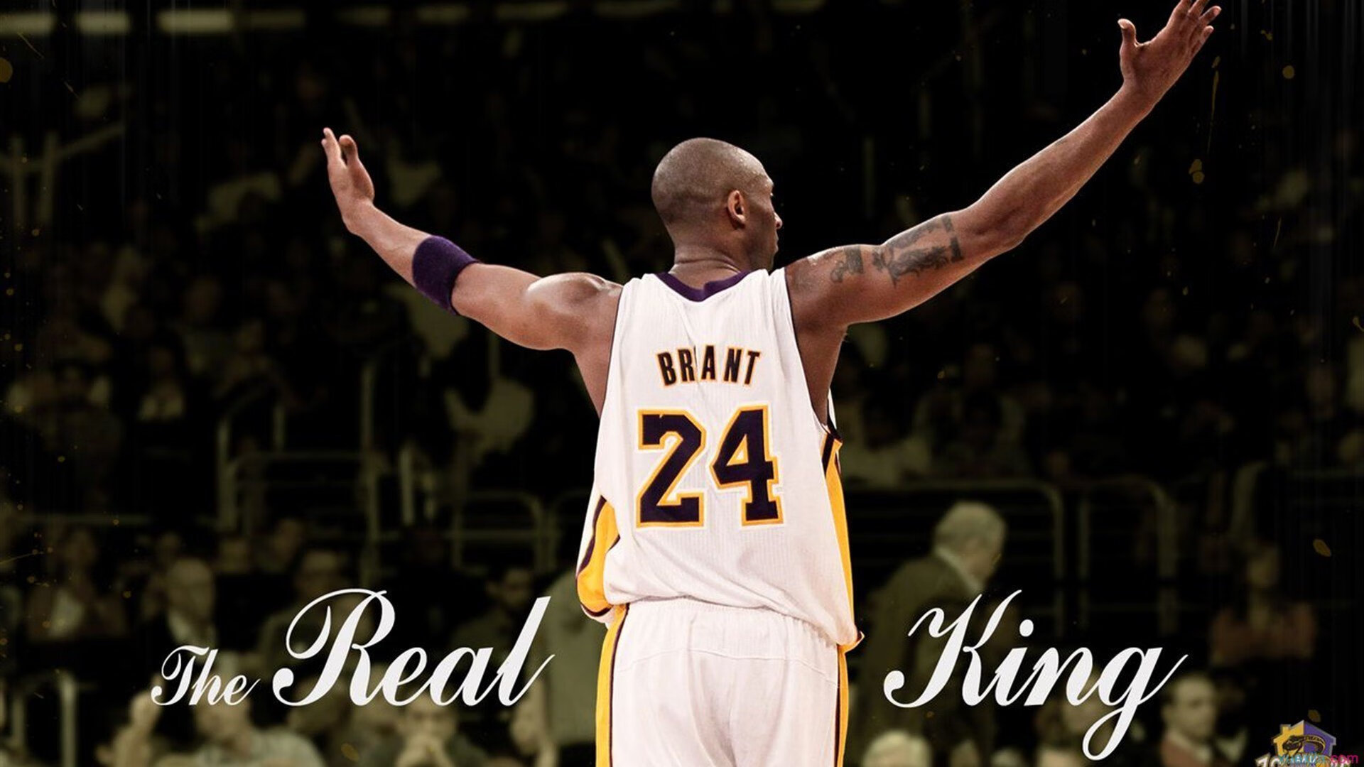 旧体育馆告别赛 众多老运动员与观众回忆青春